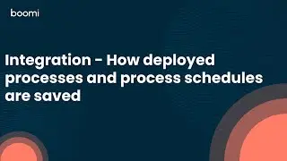 Integration - How Deployed Processes And Process Schedules Are Saved