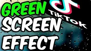 How to Use Green Screen Video on TikTok (You'll Do Better Than Me)