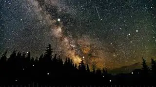 Paapi musik - Night Drive