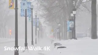 Severe WINTER SNOW STORM Blizzard in Canada Quebec City