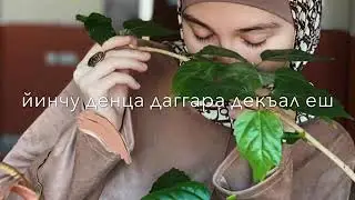 Песня-Тамила