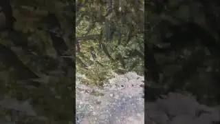 UVIJEK LIJEPI PRIZORI U TRAVNIKU ❤️#travnik