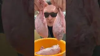 Натуральная виагра - бычьи яйца !