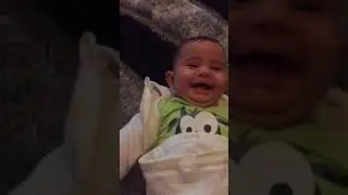 Ку ку