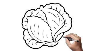 How To Draw Cabbage | Cabbage Easy Drawing Step By Step | Cabbage Drawing Easy For Kids| Easy draw