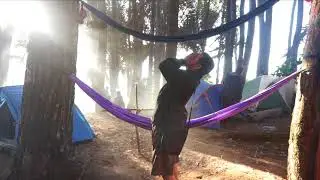 Footage - Indahnya Hutan Pinus Gorontalo