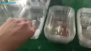 Three Stations Thermoforming Machine: Intelligent Plastic Production in Progress