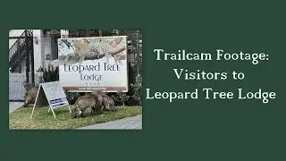 Visitors at Leopard Tree Lodge