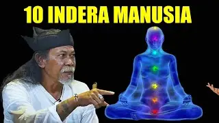 BONGKAR 10 INDERA TUBUH MANUSIA