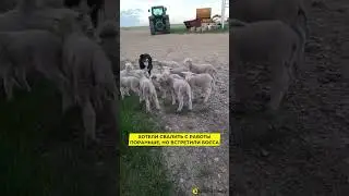 Он всегда все портит
