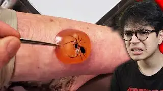 Os Tik Toks MAIS ESTRANHAMENTE SATISFATÓRIOS pra ver e parar de ser triste