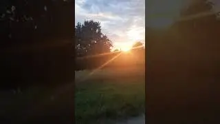 #sunset