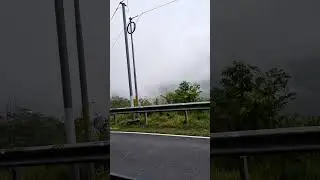 Driving above the clouds Assam #viral #viralvideo #viralshorts #shorts #assam #clouds