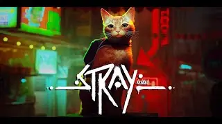 Котячие похождения в Stray #1