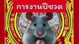 ดูดวงปีชวด เหมาะกับงานอะไร