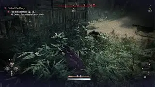 Rise of the ronin - Cute dog