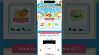 How to see pet interaction history in Widgetable app?