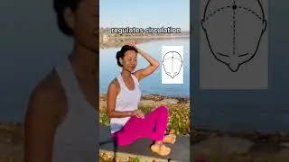 ACUPRESSURE BAIHUI POINT 