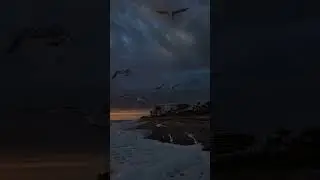 16 мая 2023 г.