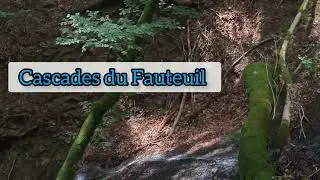 Un peu de fraîcheur pour tous..