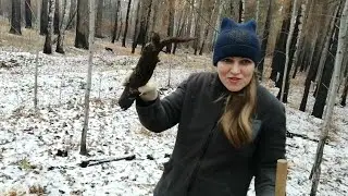 День тросов и лопата вискас