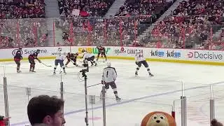 I Went to an NHL Game