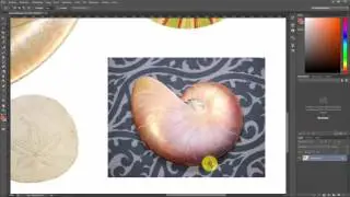 Selecties maken met de lasso's in Photoshop