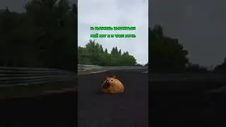 КОТ В 3 ЧАСА НОЧИ