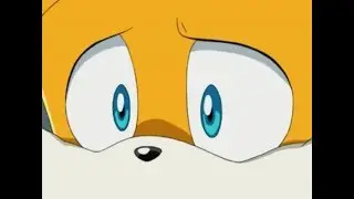 Tails report card
