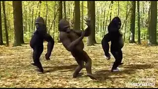 Monkey dans whatsapp status in tamil