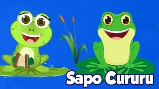 Sapo Cururu - Música Infantil
