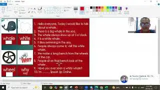 The Whale