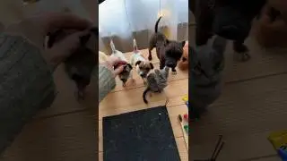А вы что думали? 😂 