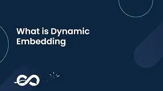 What is Dynamic Embedding