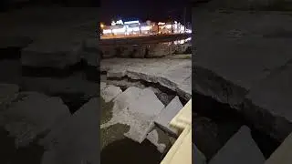 погибли все рыбы