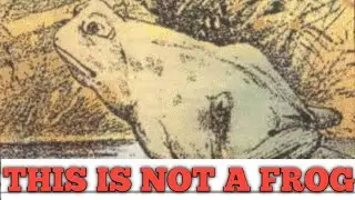 THIS IS NOT A FROG || BEST OPTICAL ILLUSION THAT CAN BLOW YOUR MIND