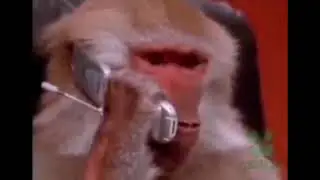 просто скажи... у нас с тобой есть шансы?😭