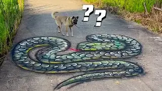 Funny Art, Easy Way to Draw 3d Art on The Road