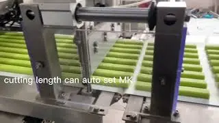 Protein bar extruding machine