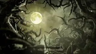 Black Desert Костюм на дк ШАХ И МАТ