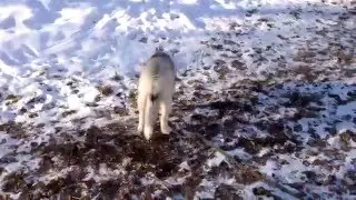 Идем КО МНЕ!