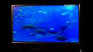 Toshiba Regza RZ1 3D TV  Review