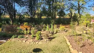 October Backyard Garden Tour. Fall bloomers and great weather still hanging around in GA/8a.