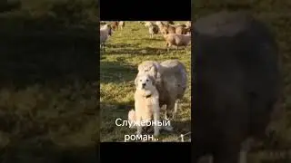 моёхозяйство 