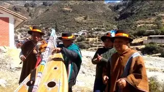 HUAYNITO ARPA Y VIOLÍN SENTIMENTAL