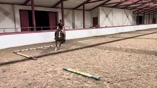 Livia Schuller and Fletchslittlebluekid Training 1
