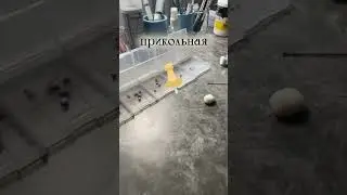 Идейка ПРИКОЛЬНАЯ в прямом смысле! Скоро покажу!