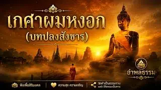 เกศาผมหงอก(บทปลงสังขาร)