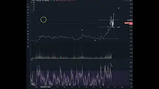 macro update on solana