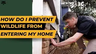 How do I prevent wildlife from entering my home? | Critter Control